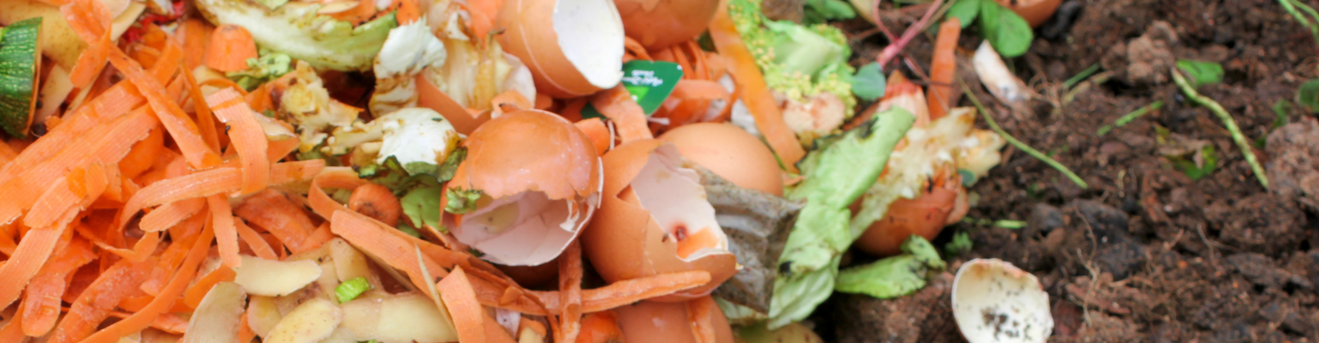 faire-son-terreau-compost Faire son terreau - compost