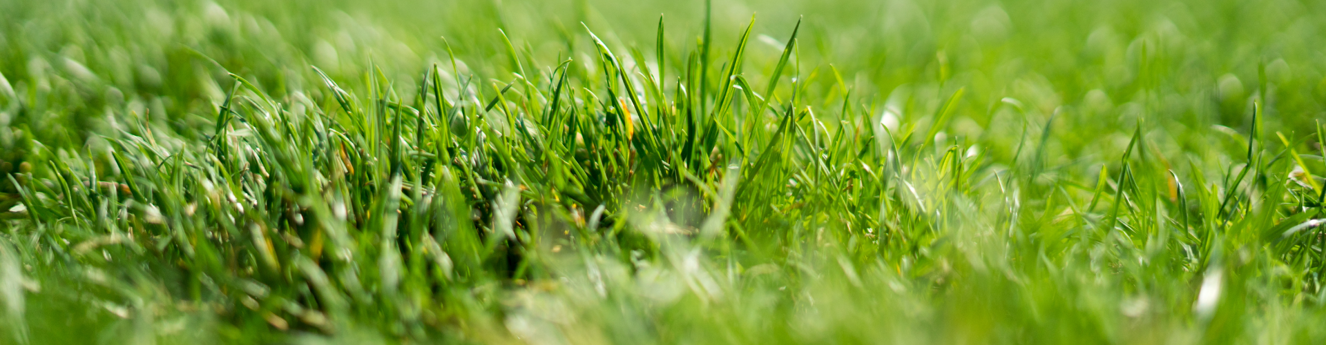 faire-son-terreau-gazon Faire son terreau - gazon