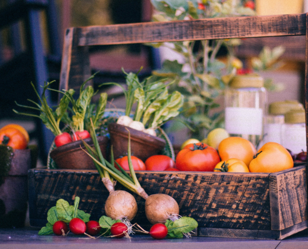 Les 10 légumes pour débuter au potager - Blog - Dr. Jonquille & Mr. Ail