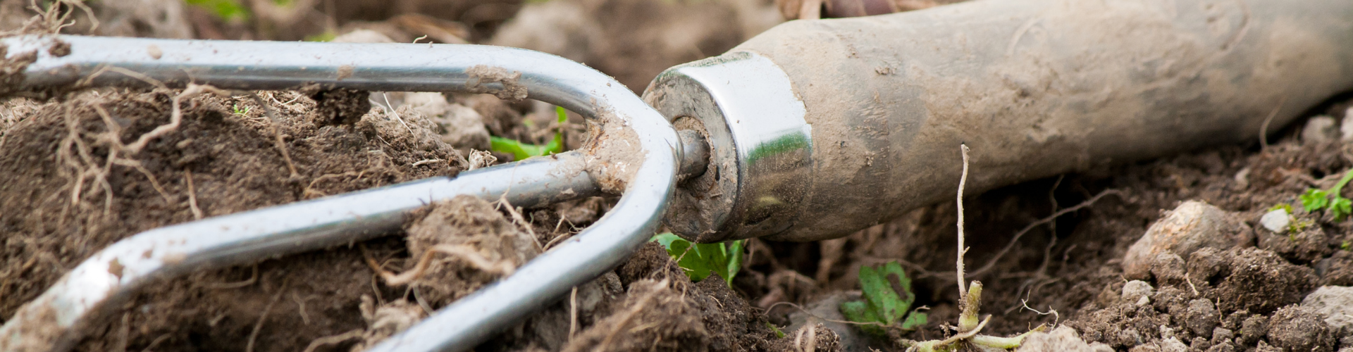 8 outils indispensables au potager - griffe Les 8 outils indispensables au jardin - Blog - Dr. Jonquille & Mr. Ail