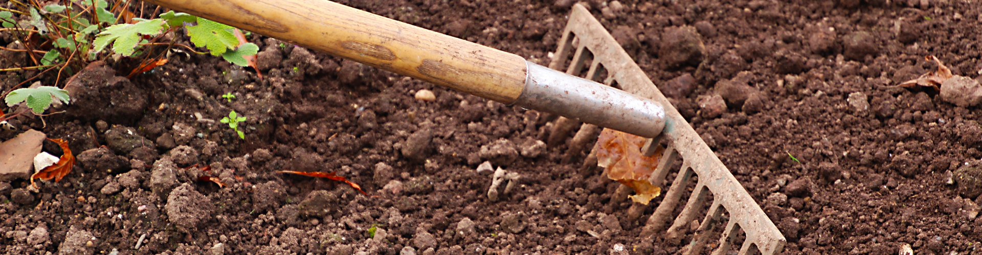 8 outils indispensables au potager - rateau Les 8 outils indispensables au jardin - Blog - Dr. Jonquille & Mr. Ail