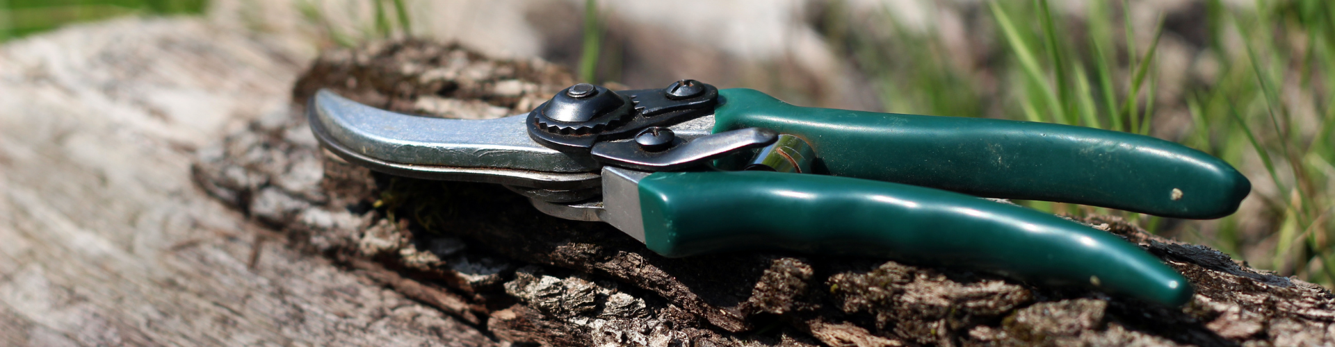 8 outils indispensables au potager - sécateur Les 8 outils indispensables au jardin - Blog - Dr. Jonquille & Mr. Ail