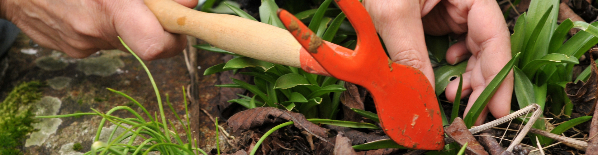 8 outils indispensables au potager - serfouette Les 8 outils indispensables au jardin - Blog - Dr. Jonquille & Mr. Ail