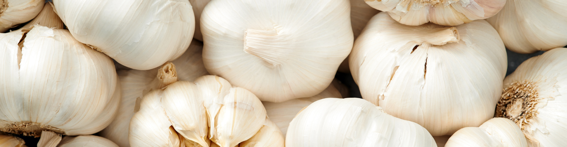 7 légumes qui poussent à l'infini - Blog - Dr. Jonquille & Mr. Ail