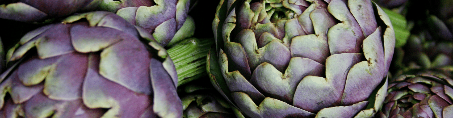 7 légumes perpétuels - Blog - Dr. Jonquille & Mr. Ail