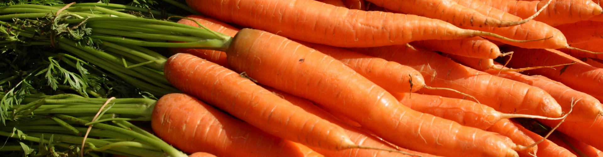 7 légumes qui poussent à l'infini - Blog - Dr. Jonquille & Mr. Ail