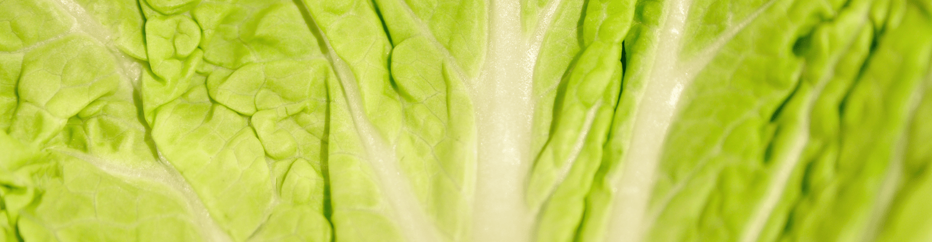 7 légumes perpétuels - Blog - Dr. Jonquille & Mr. Ail