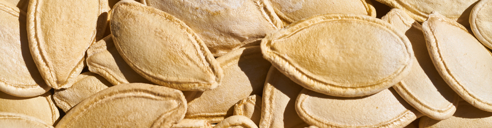 comment-conserver-ses-graines Comment conserver ses graines ? - Blog - Dr. Jonquille & Mr. Ail