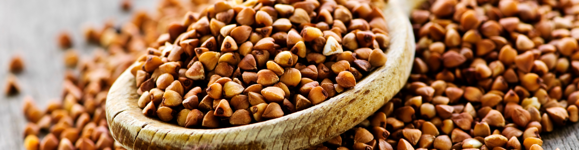 comment-conserver-ses-graines Comment conserver ses graines ? - Blog - Dr. Jonquille & Mr. Ail