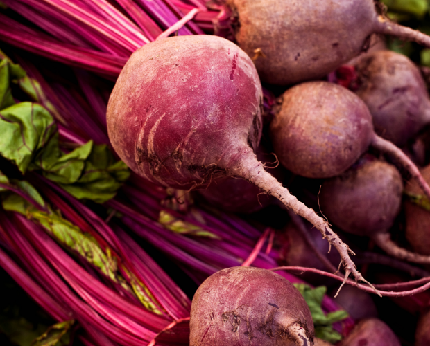 La betterave : semis, culture, récolte - Blog - Dr. Jonquille & Mr. Ail