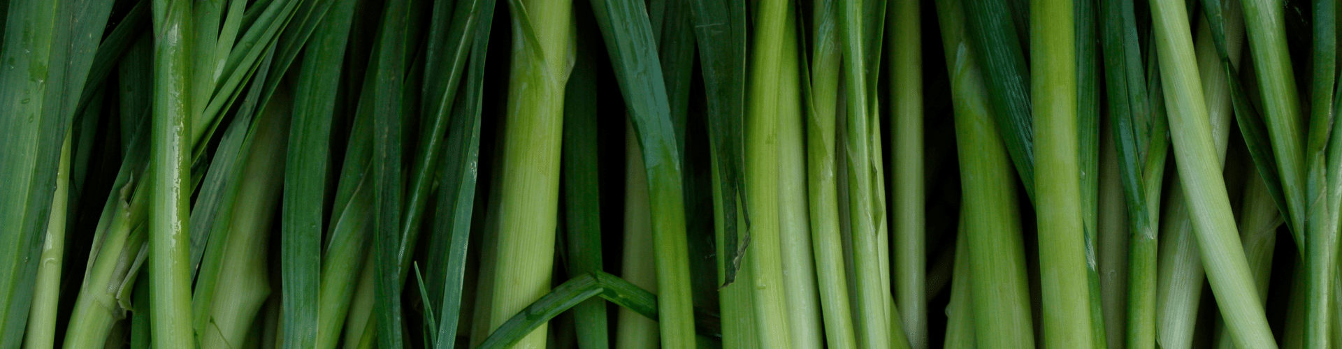 7 légumes perpétuels - Blog - Dr. Jonquille & Mr. Ail