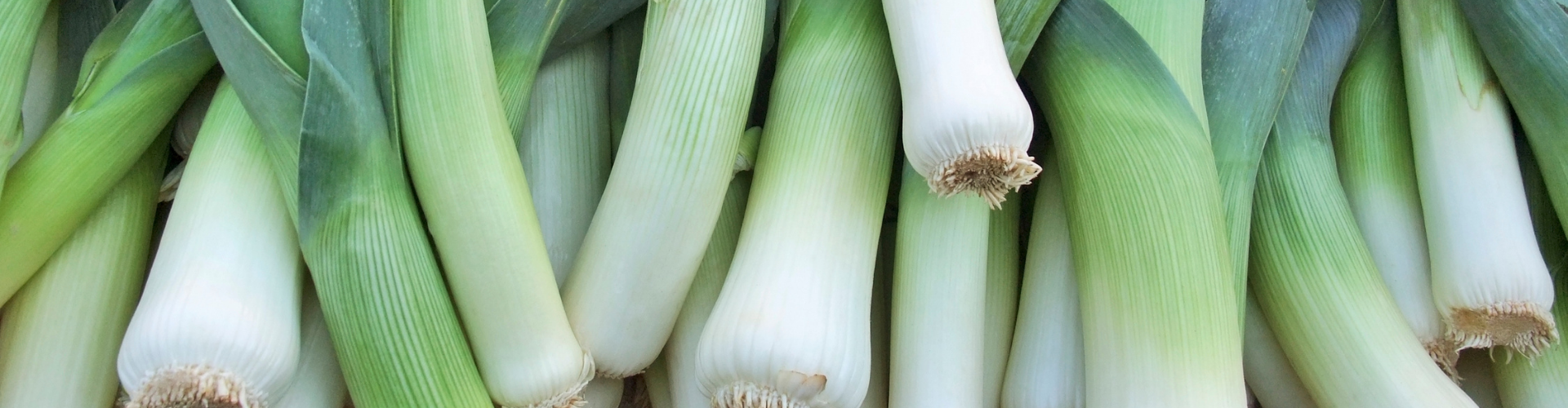 7 légumes qui poussent à l'infini - Blog - Dr. Jonquille & Mr. Ail