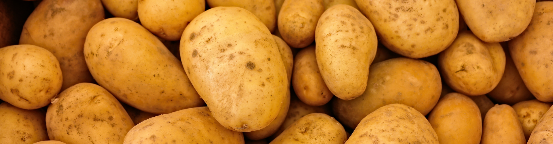 7 légumes qui poussent à l'infini - Blog - Dr. Jonquille & Mr. Ail