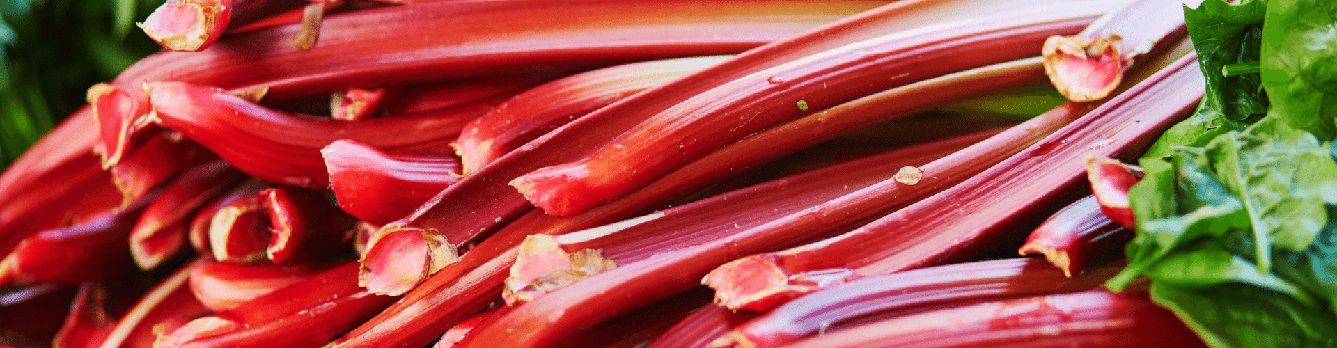 7 légumes perpétuels - Blog - Dr. Jonquille & Mr. Ail