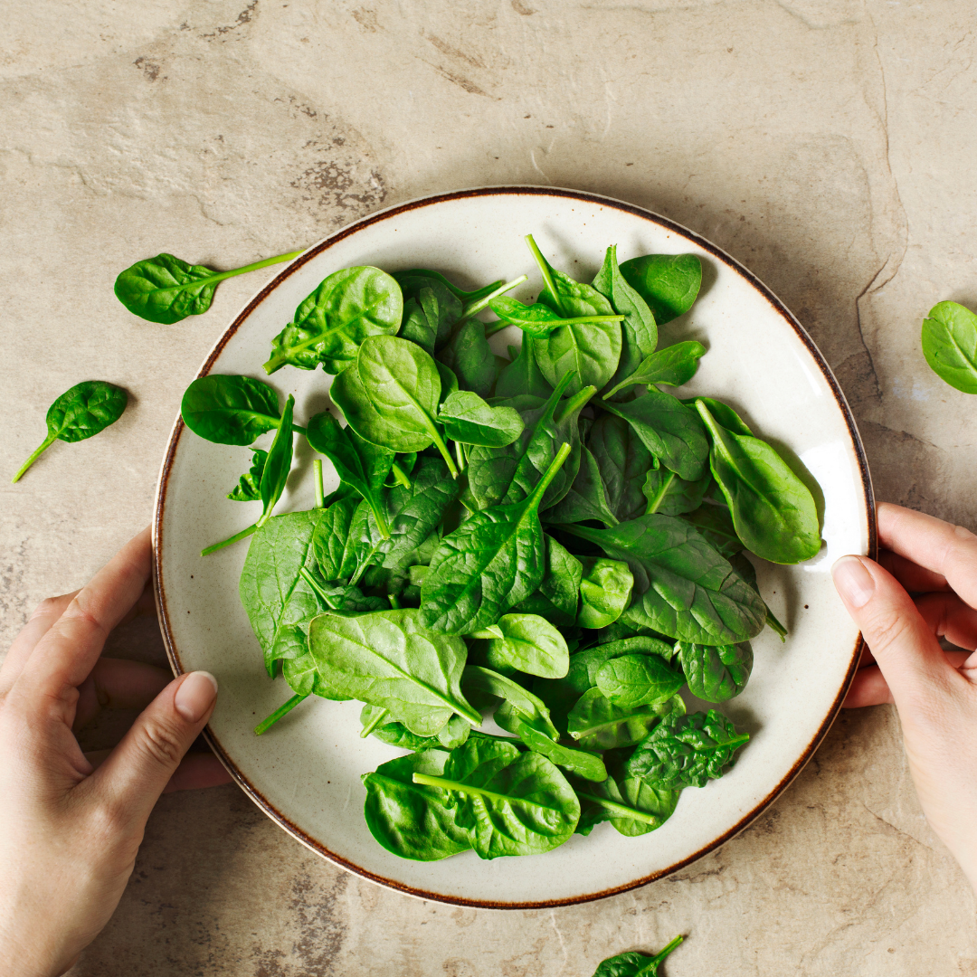 Les épinards semis culture et récolte 2 Les épinards : semis, culture, récolte - Blog - Dr. Jonquille & Mr. Ail