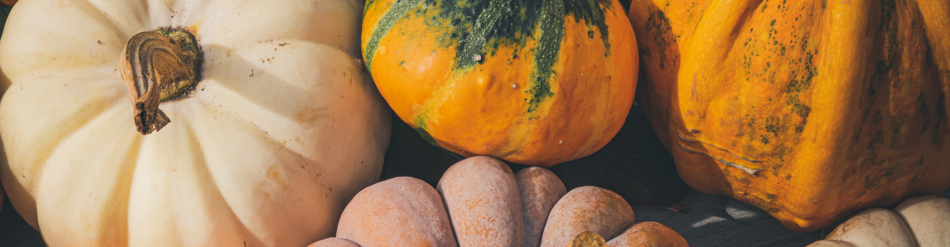 La courge : semis, culture, et récolte - Blog - Dr. Jonquille & Mr. Ail