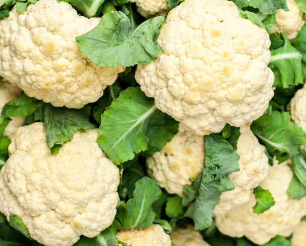 Le chou fleur : semis culture et récolte - Blog - Dr. Jonquille & Mr. Ail