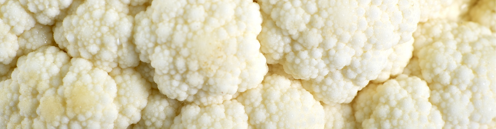 Le chou fleur : semis culture et récolte - Blog - Dr. Jonquille & Mr. Ail