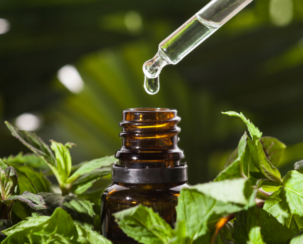 Qu'est-ce que l'aromathérapie - Blog - Dr. Jonquille & Mr. Ail