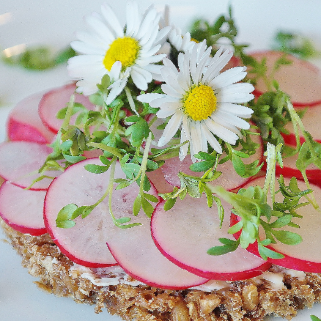 Le radis semis culture et récolte 2 Le radis : semis, culture, et récolte - Blog - Dr. Jonquille & Mr. Ail