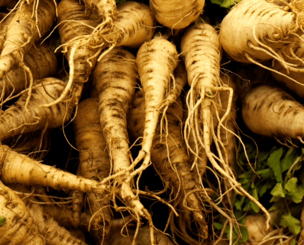 Top 6 des légumes oubliés - Blog - Dr. Jonquille & Mr. Ail