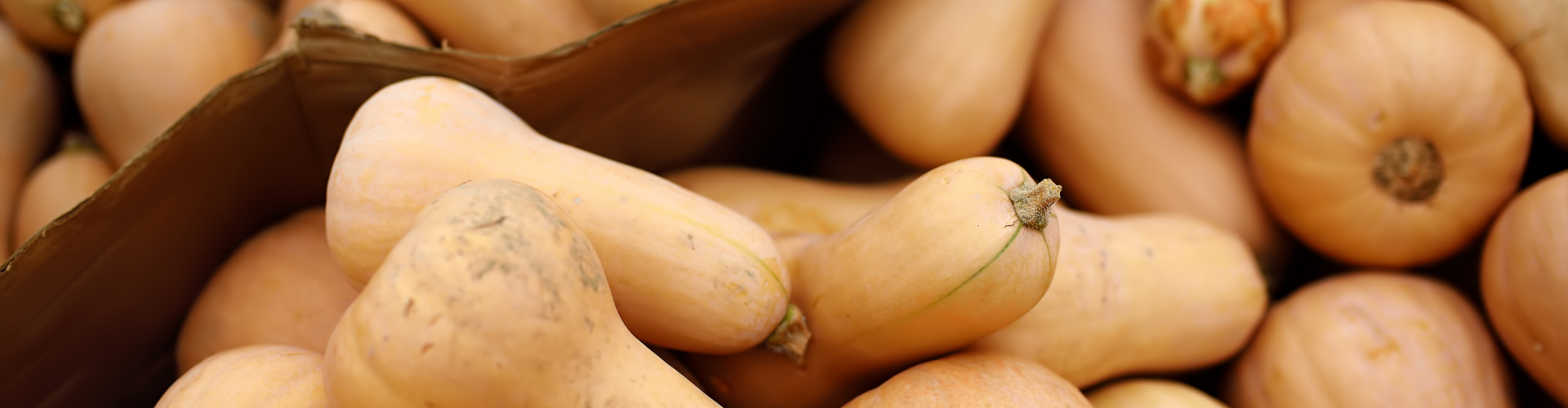 butternut Top 6 des légumes oubliés - Blog - Dr. Jonquille & Mr. Ail