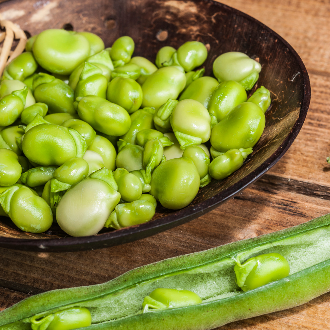 La fève : semis, culture et récolte - Blog - Dr. Jonquille & Mr. Ail