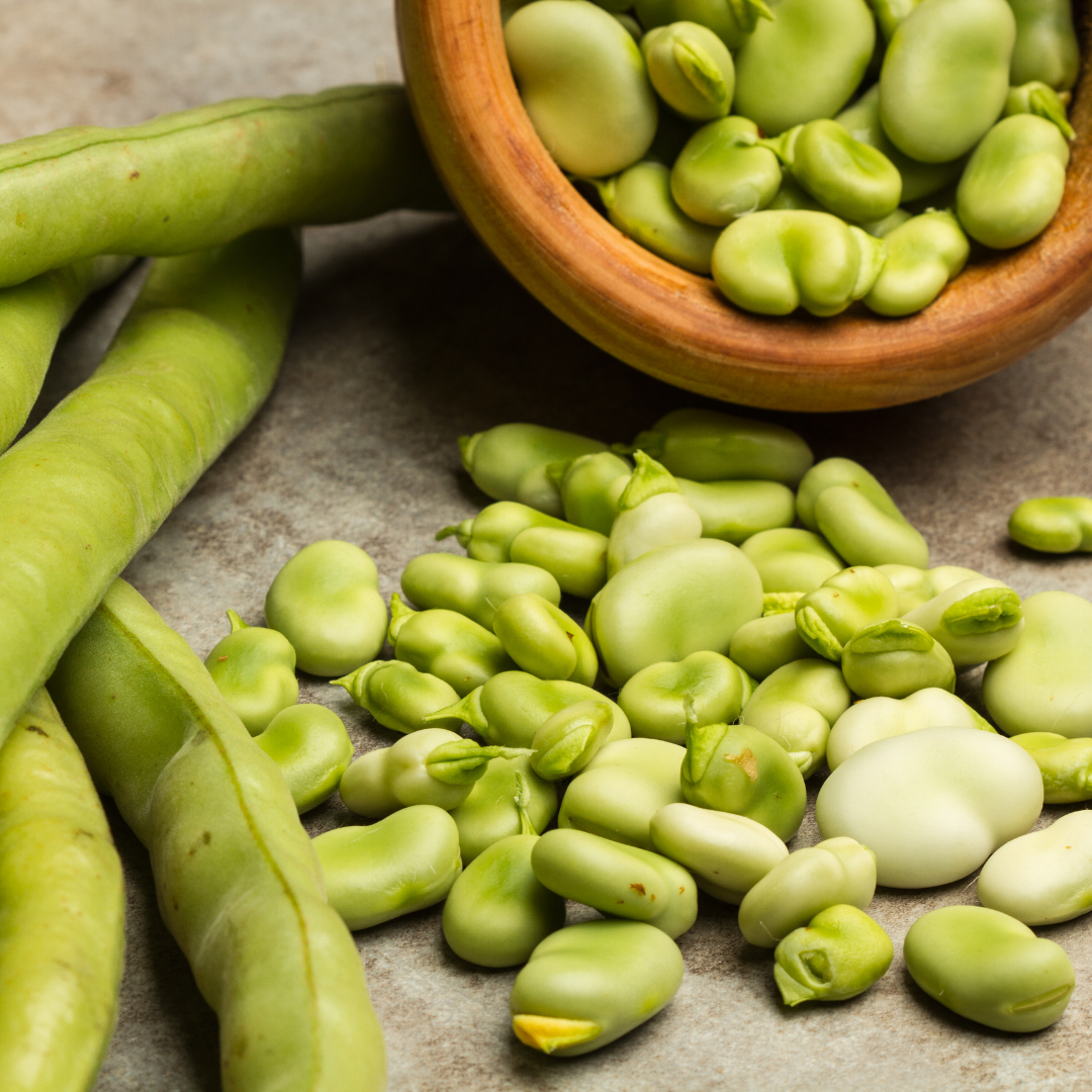 La fève : semis, culture et récolte - Blog - Dr. Jonquille & Mr. Ail