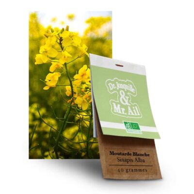 Graines Bio et Reproductibles Moutarde Blanche