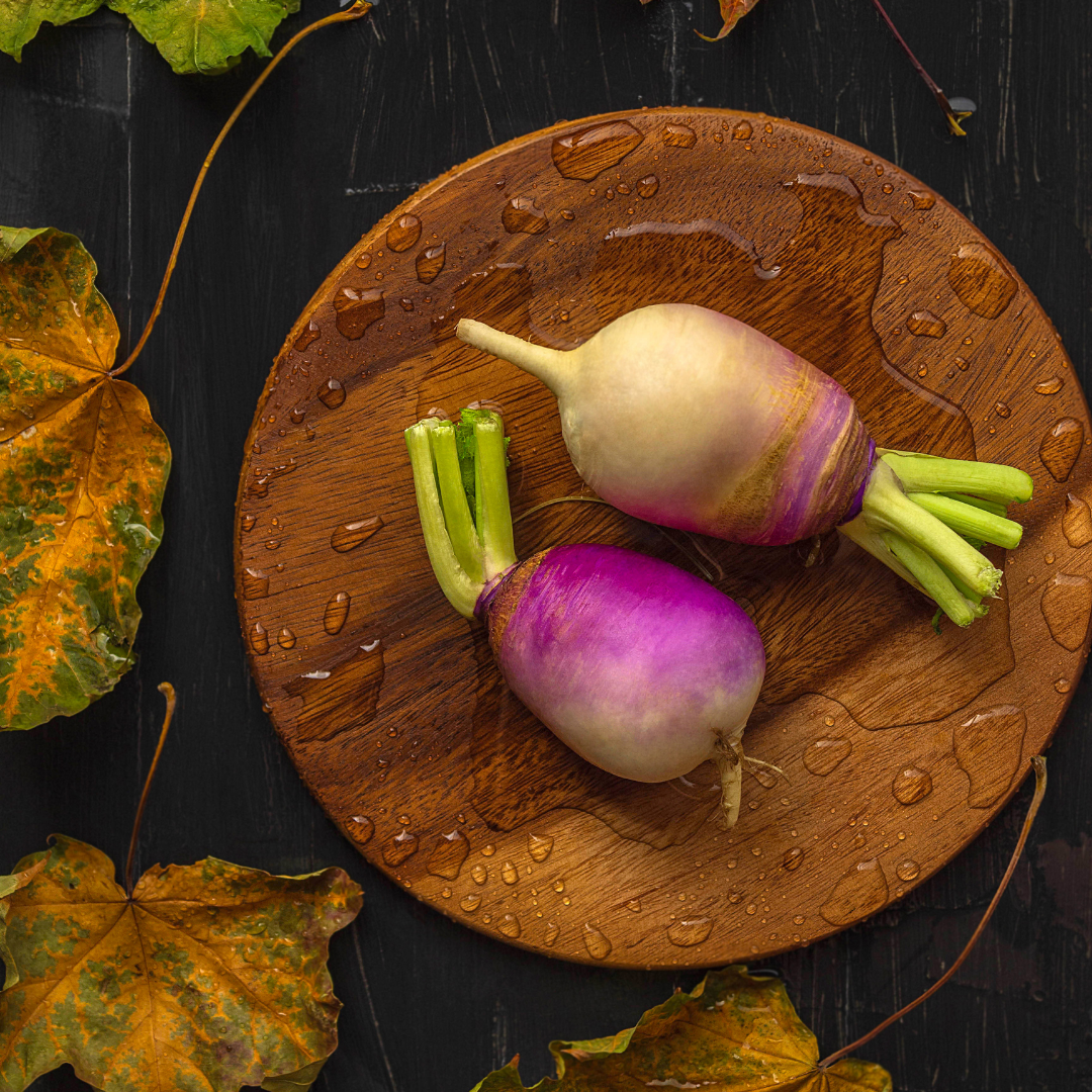 Le navet : semis, culture, et récolte - Blog - Dr. Jonquille & Mr. Ail