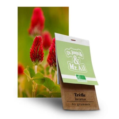 Graines Bio et Reproductibles Trèfle Incarnat