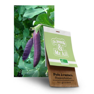 Graines bio Pois à Rames Blauwschokker