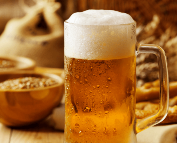 Les plantes à l'origine de la bière - Blog - Dr. Jonquille & Mr. Ail