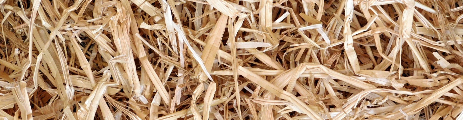 Comment et pourquoi pailler son potager ? - Blog - Dr. Jonquille & Mr. Ail