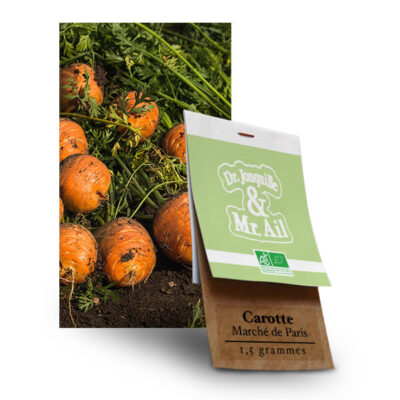 Carotte Marché de Paris 4 Bio et Reproductible