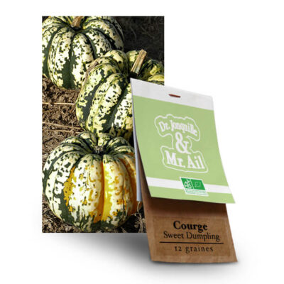 Graine bio et reproductible - courge Patidou Sweet Dumpling