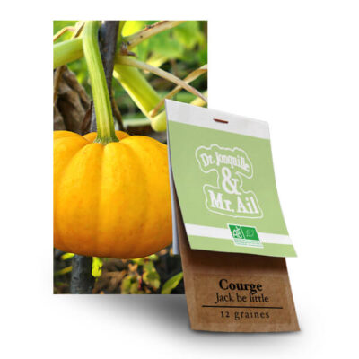 Graine bio et reproductible - courge Jack Be Little