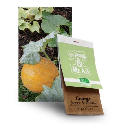 Graines Bio et Reproductibles - Courge Melonette Jaspée de Vendée