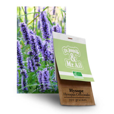 Graines Bio et Reproductibles - Hysope Officinale