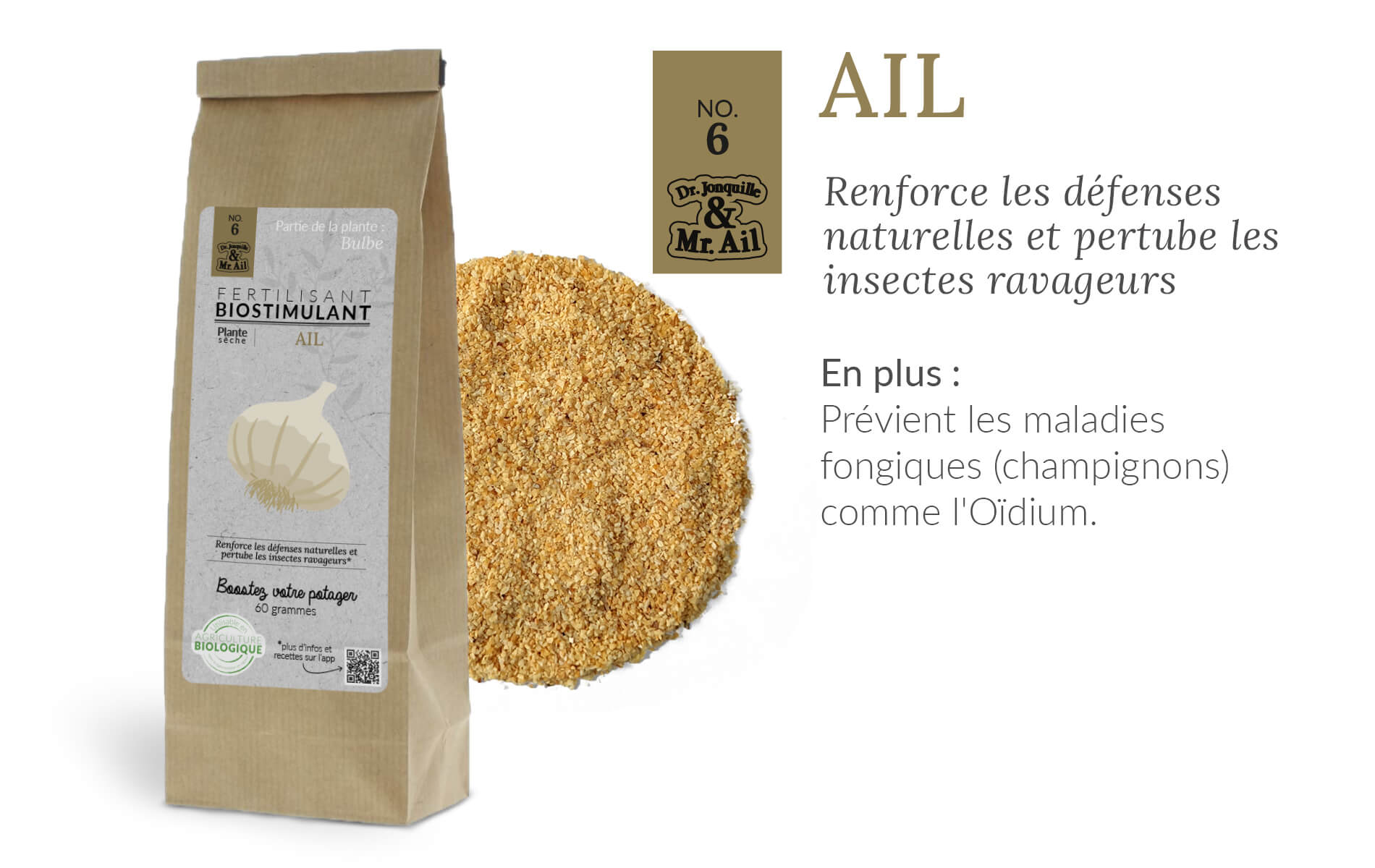 Bienfaits biostimulants - ail