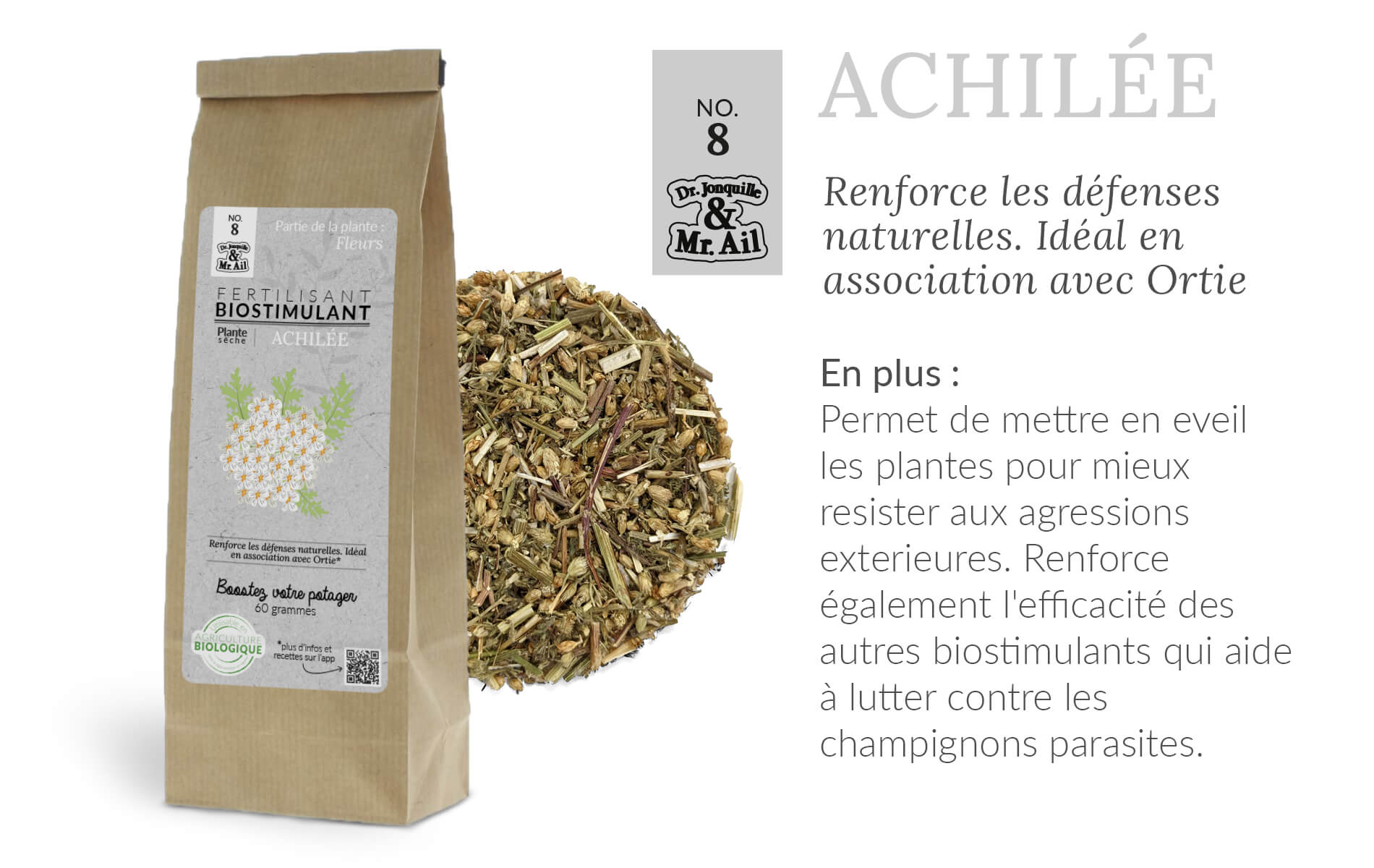 Bienfaits biostimulants - achillée