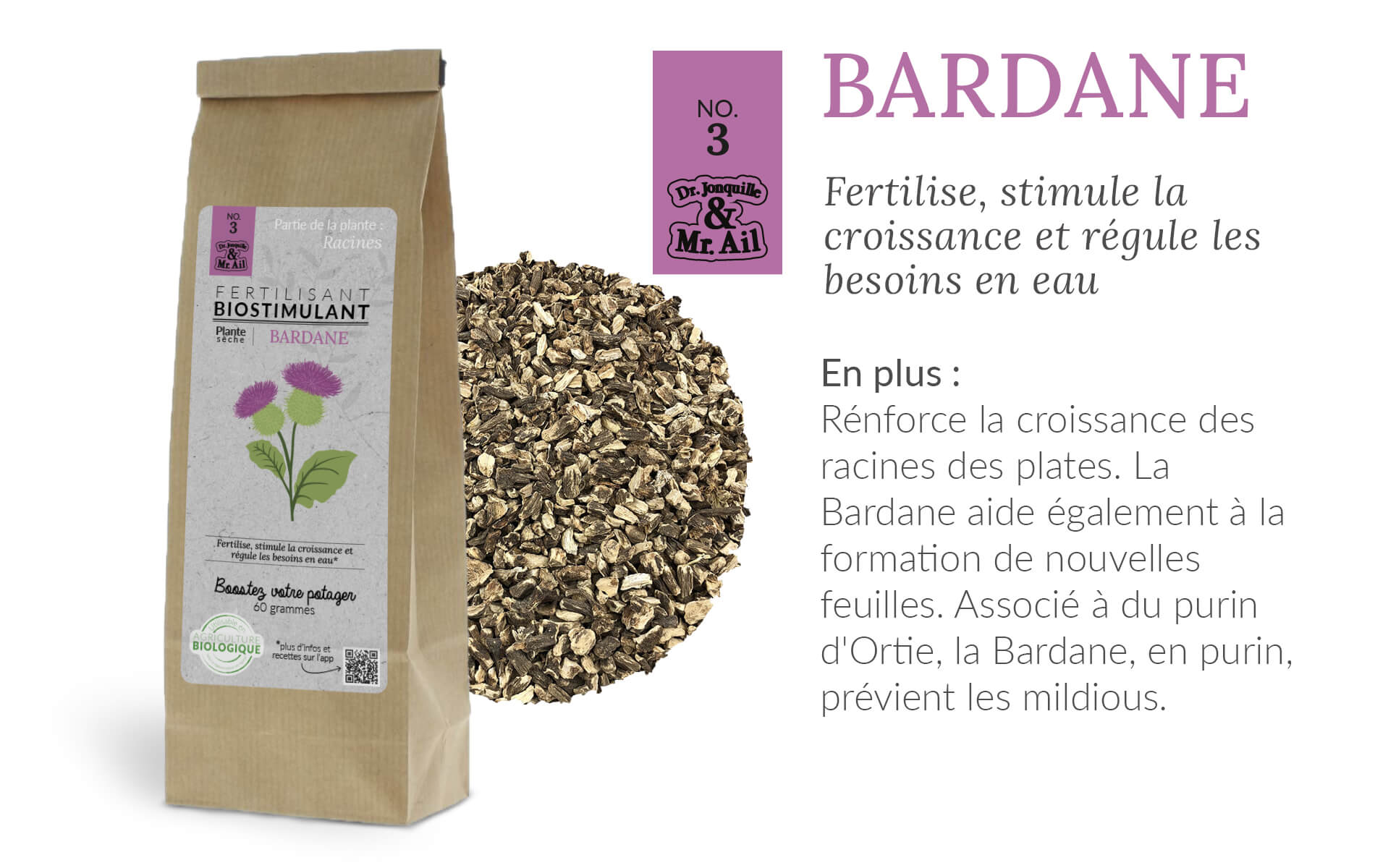 Bienfaits biostimulants - bardane