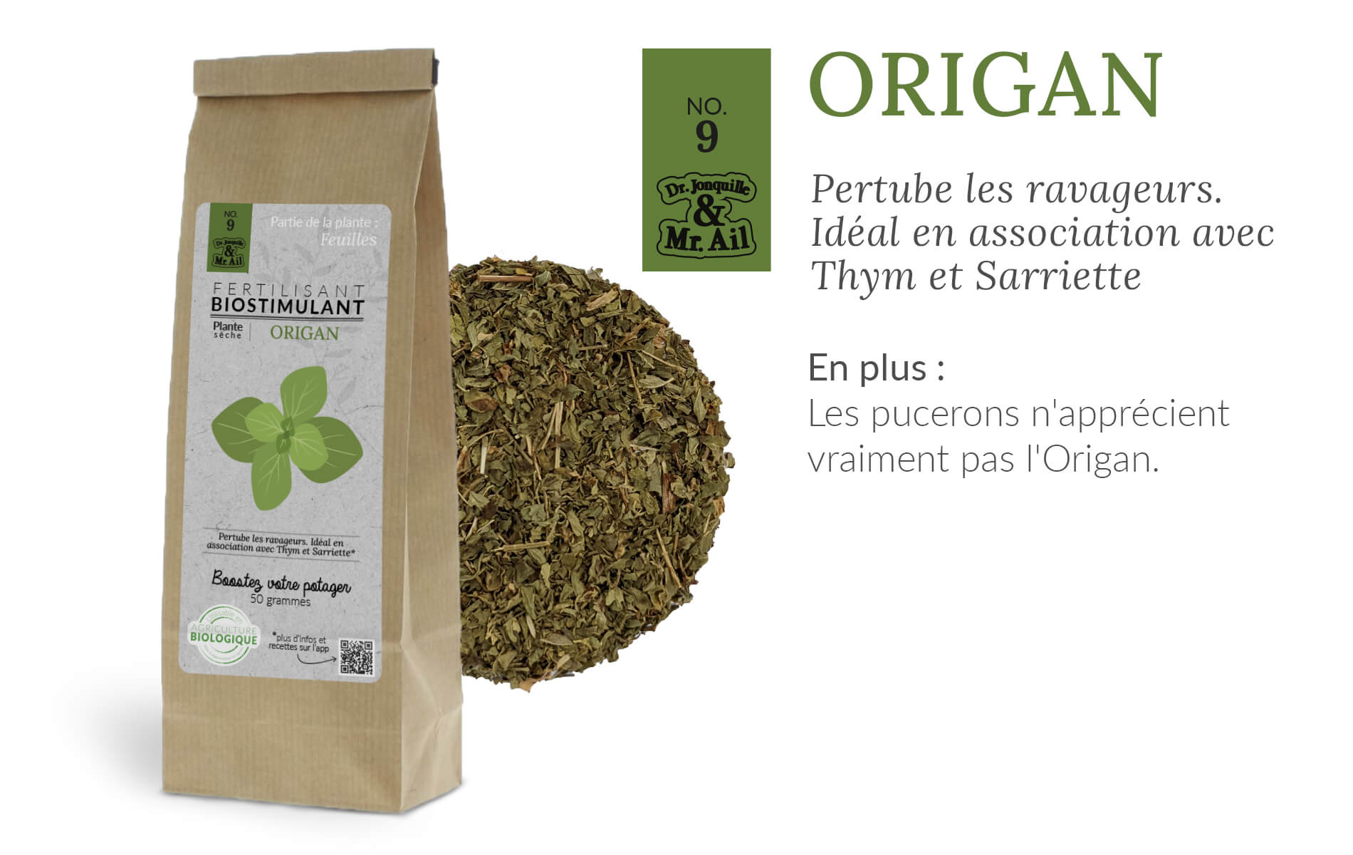 Bienfaits biostimulants - origan