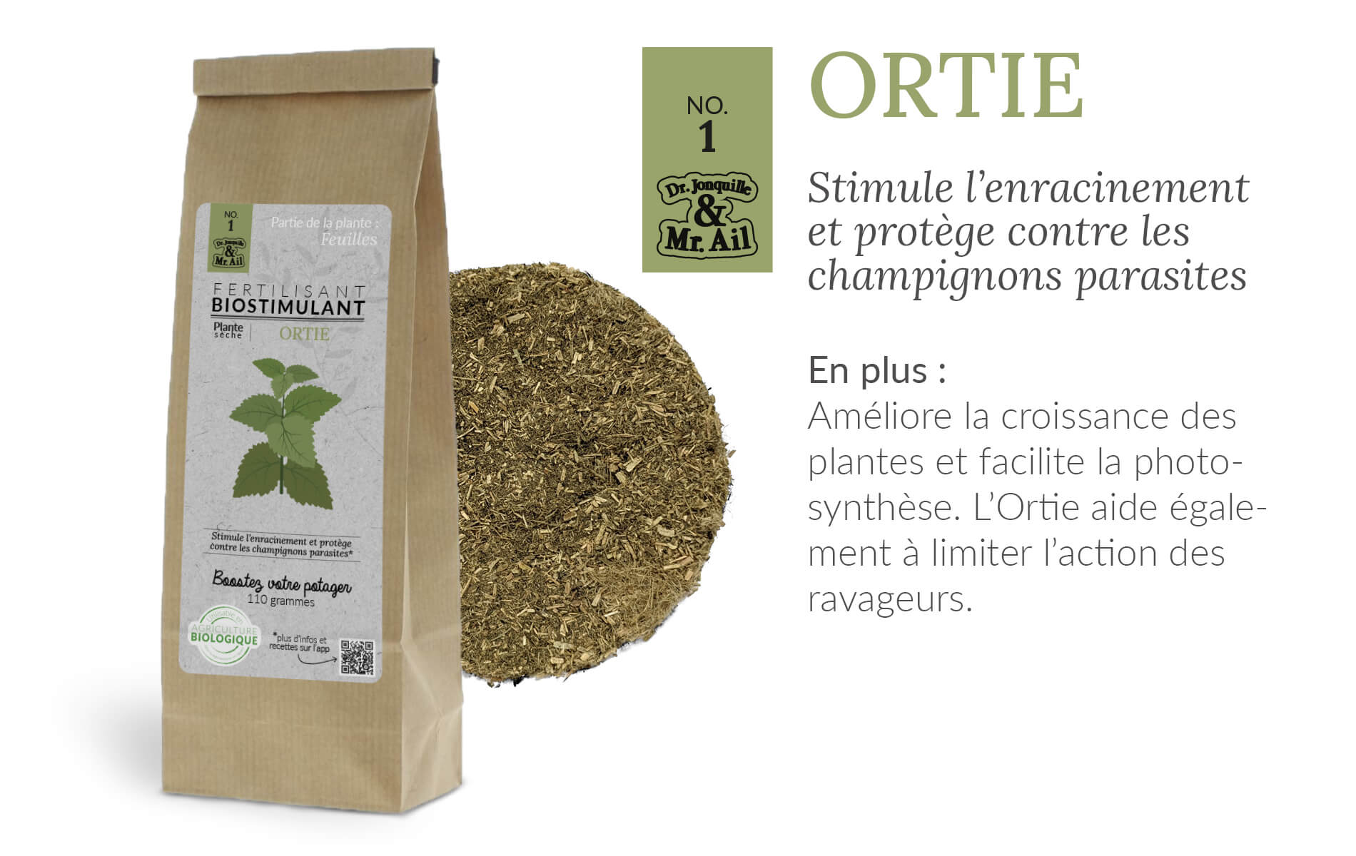 Bienfaits biostimulants - ortie