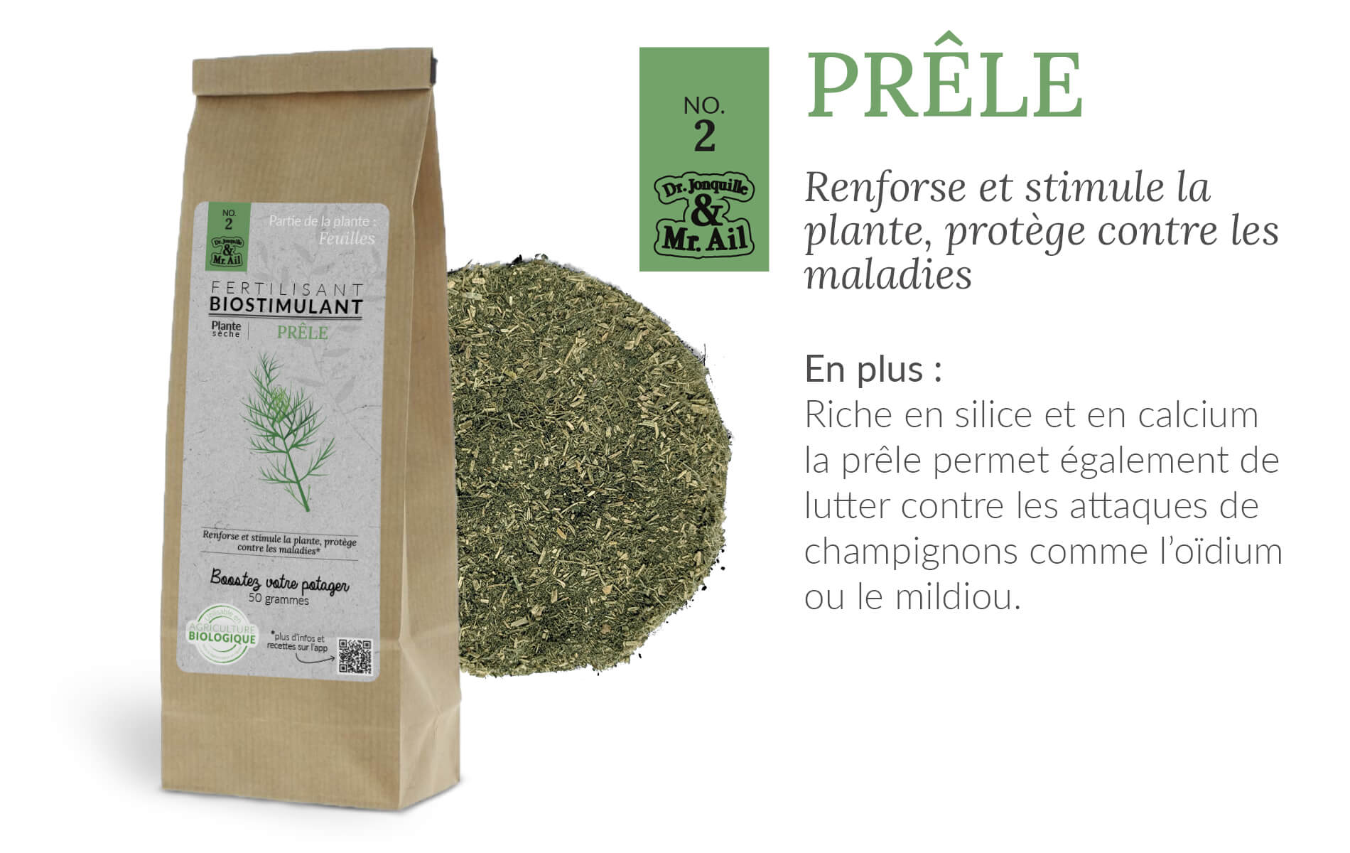 Bienfaits biostimulants - prêle