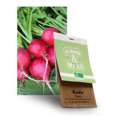 Graines Bio et Reproductibles - Radis Sora