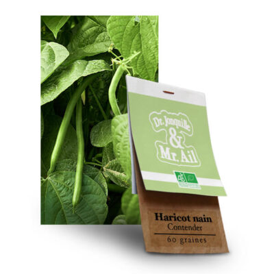 Graines Bio et Reproductibles - Haricot Nain Contender