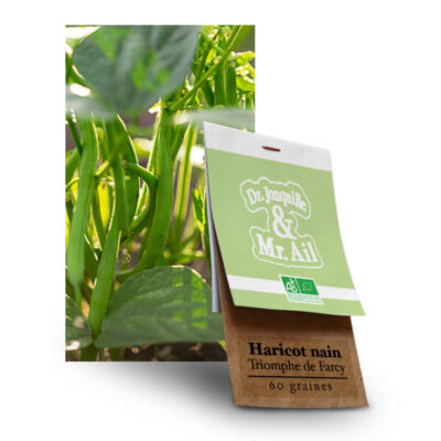Graines bio et reproductibles - Haricot Nain Triomphe de Farcy