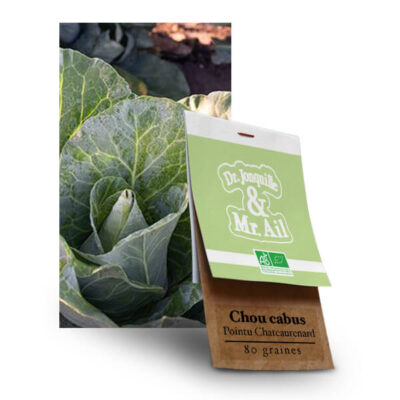 Graines Bio et Reproductibles - Chou Cabus Pointu de Châteaurenard