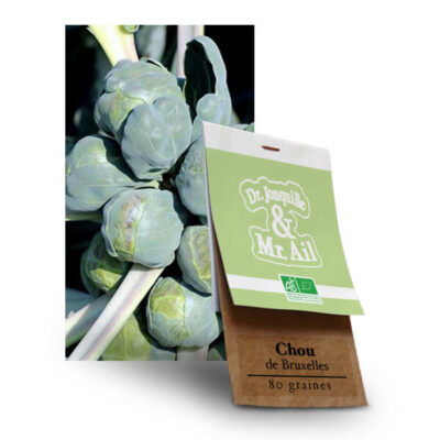Graines Bio et Reproductibles - Choux de Bruxelles Groninger